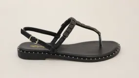 Fashion Flex EQUIPE SANDALS
