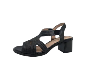 Hot Weather PITILLOS 1420 PHILLIPA