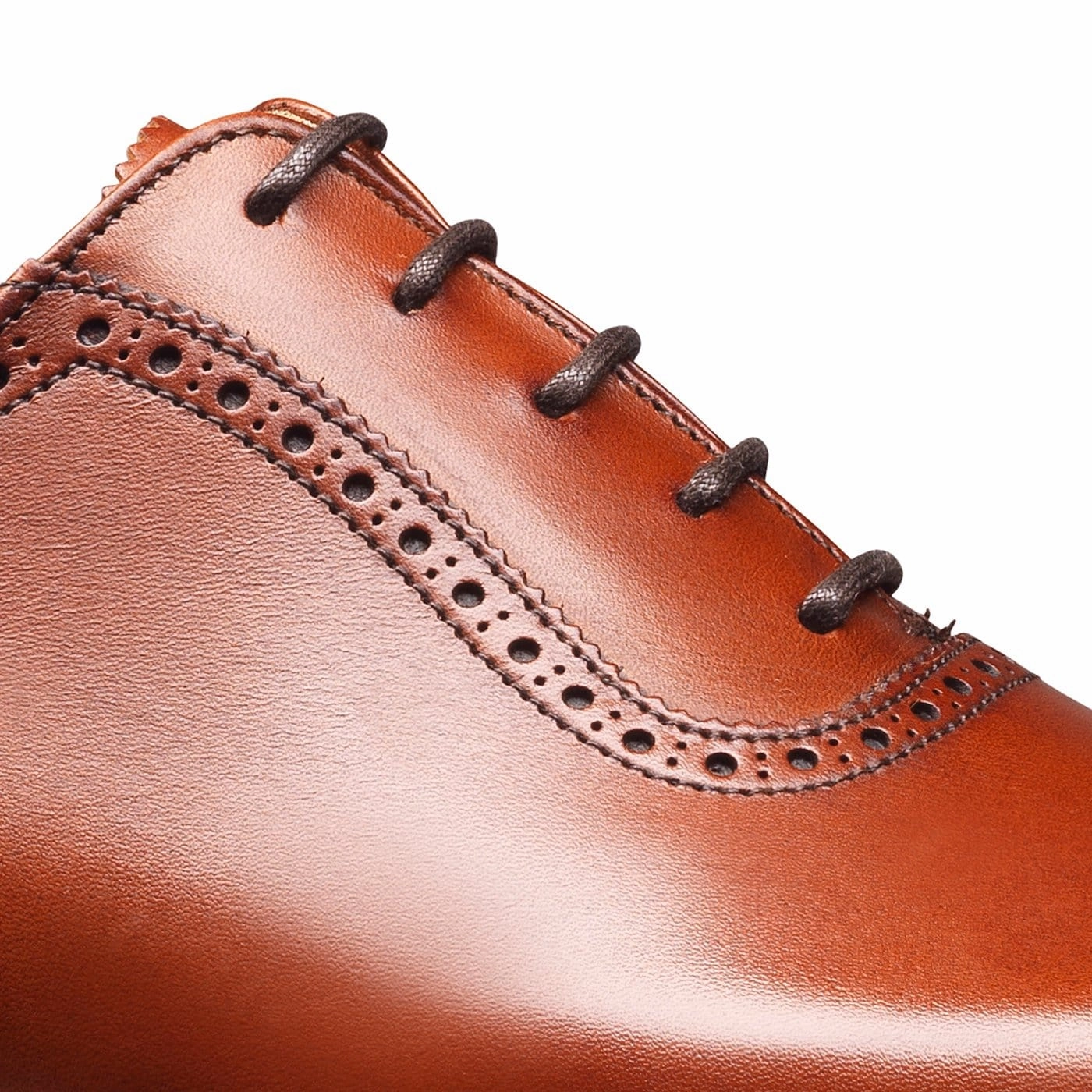 Cool Seasons Simple Look Westbourne Chestnut Burnished Calf